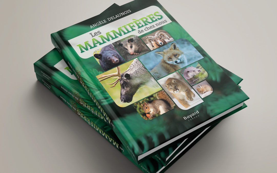 Les mammifères de chez nous